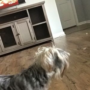 Meet your Posher, Tamara